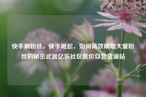 快手刷粉丝，快手崛起	，如何高效刷取大量粉丝的秘密武器亿乐社区低价自营货源站  第1张